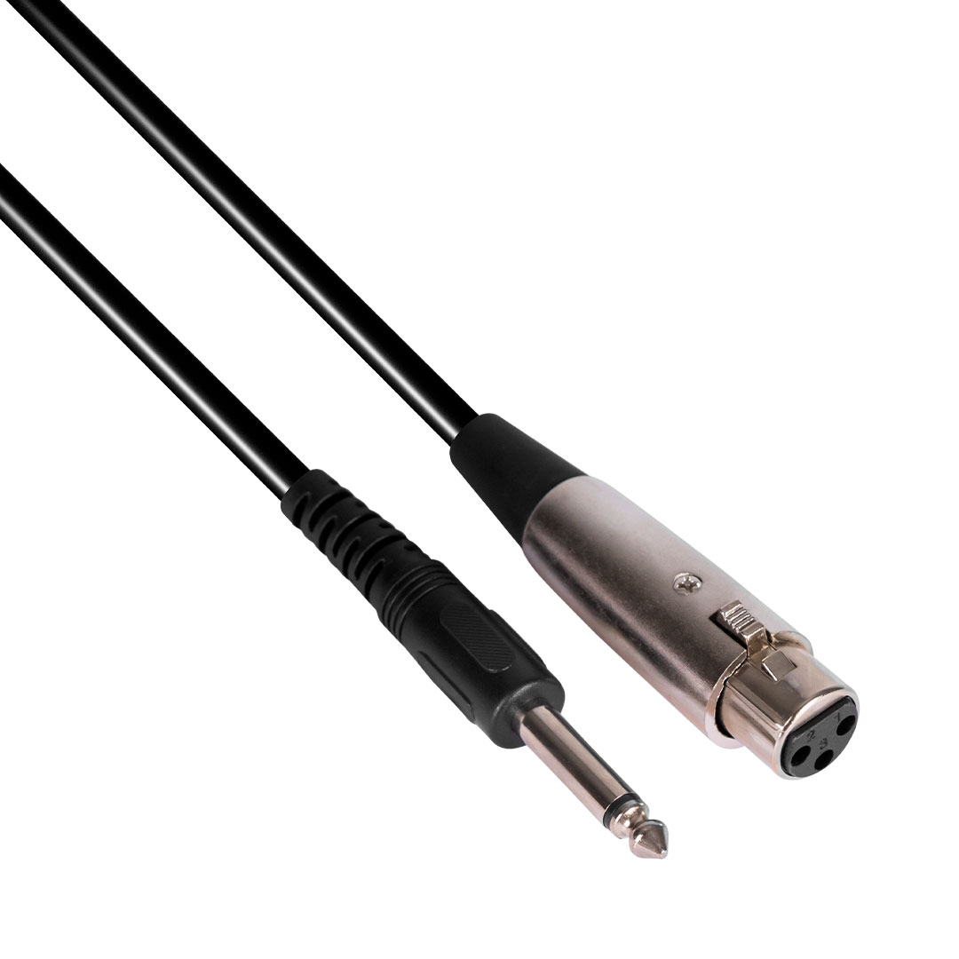 XMAX DP-1 - Image 3